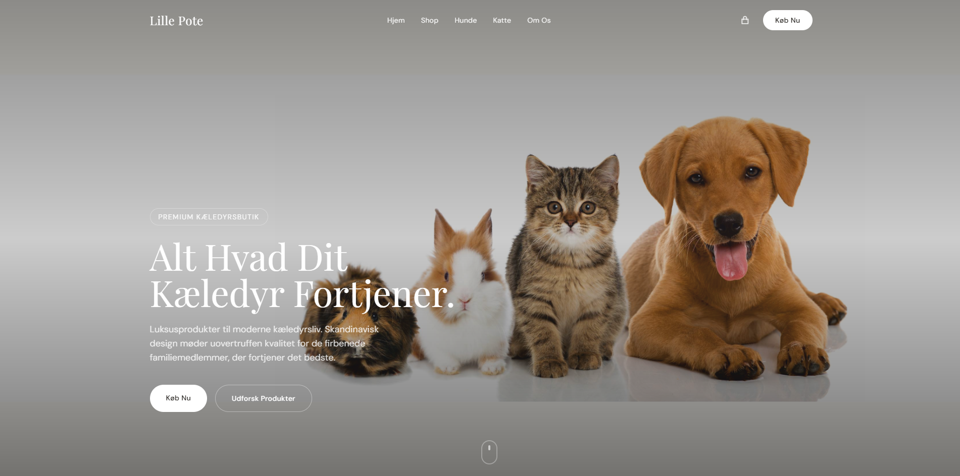 Lille Pote hjemmeside — bygget af Codewise